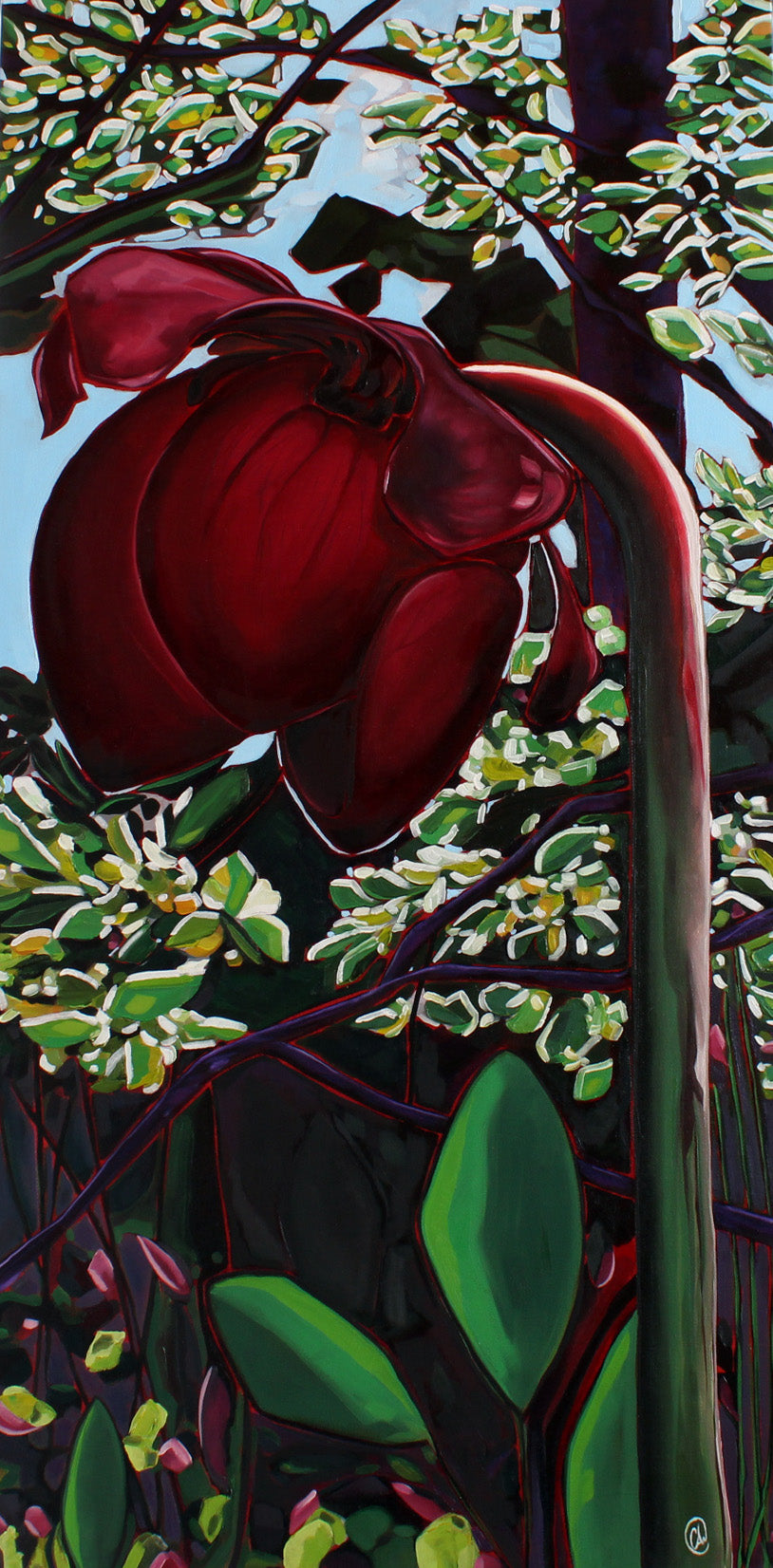 Pitcher Plant of Salmonier - Oil on Canvas