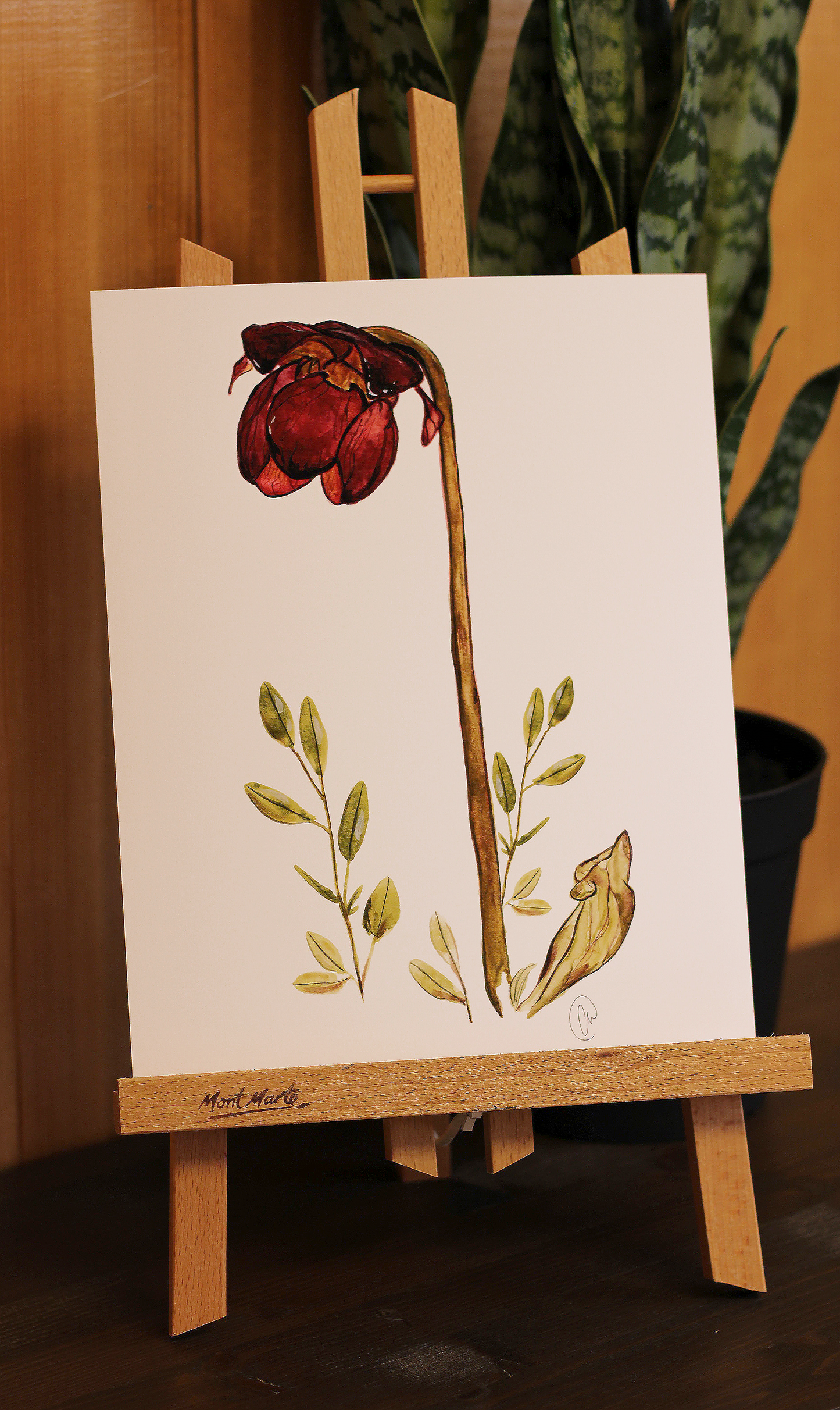 Pitcher Plant - Watercolour Print