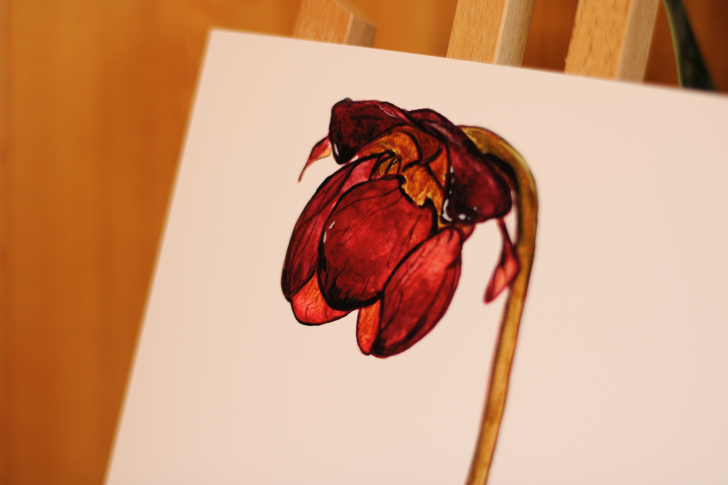 Pitcher Plant - Watercolour Print