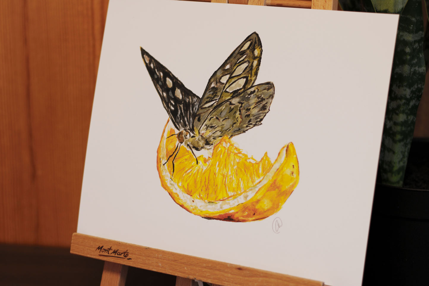 Breakfast Butterfly - Watercolour Print